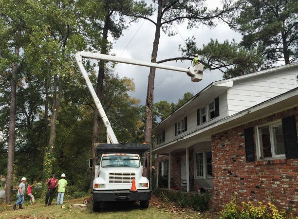 Best Storm Damage Tree Cleanup  in Hartsville, TN